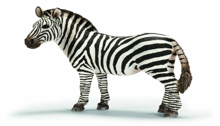 sonhar com zebra